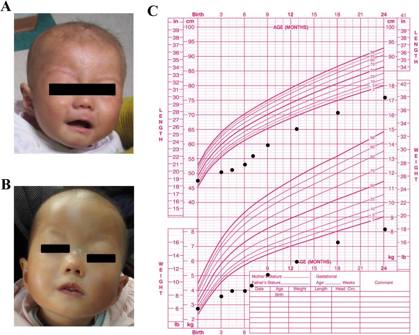 Fig. 1