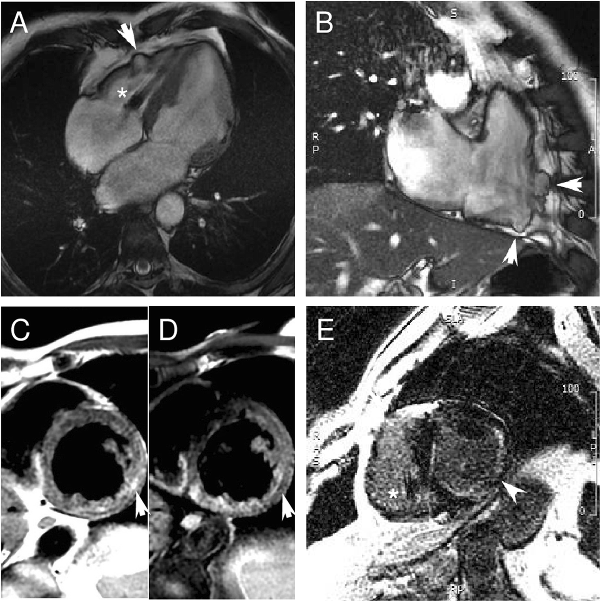 Fig. 4