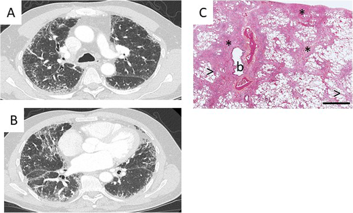 Fig. 6