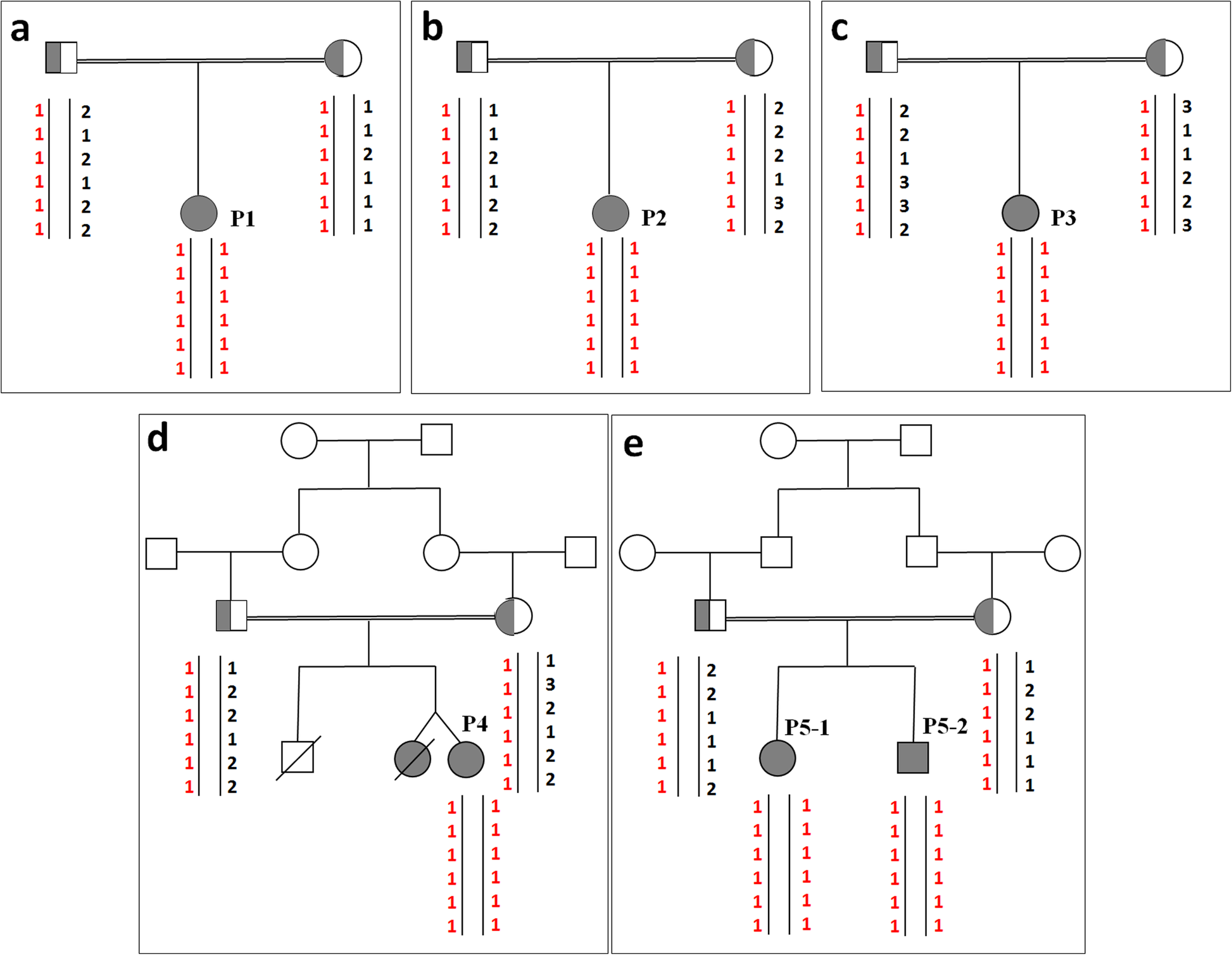 Fig. 1