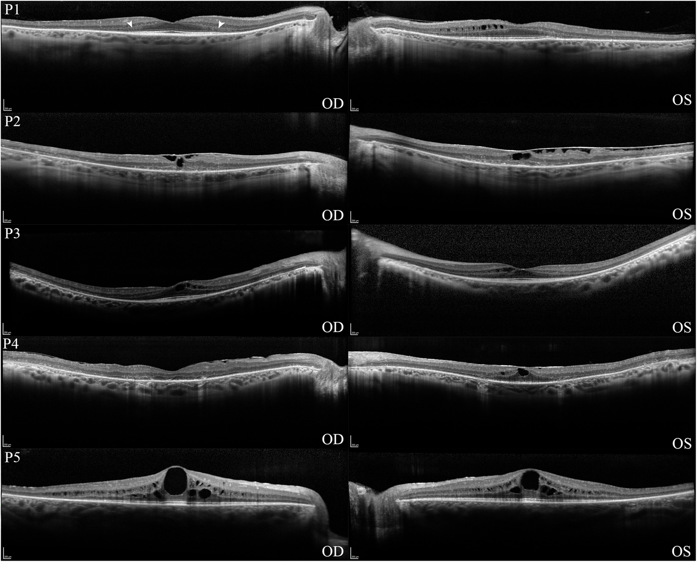 Fig. 3