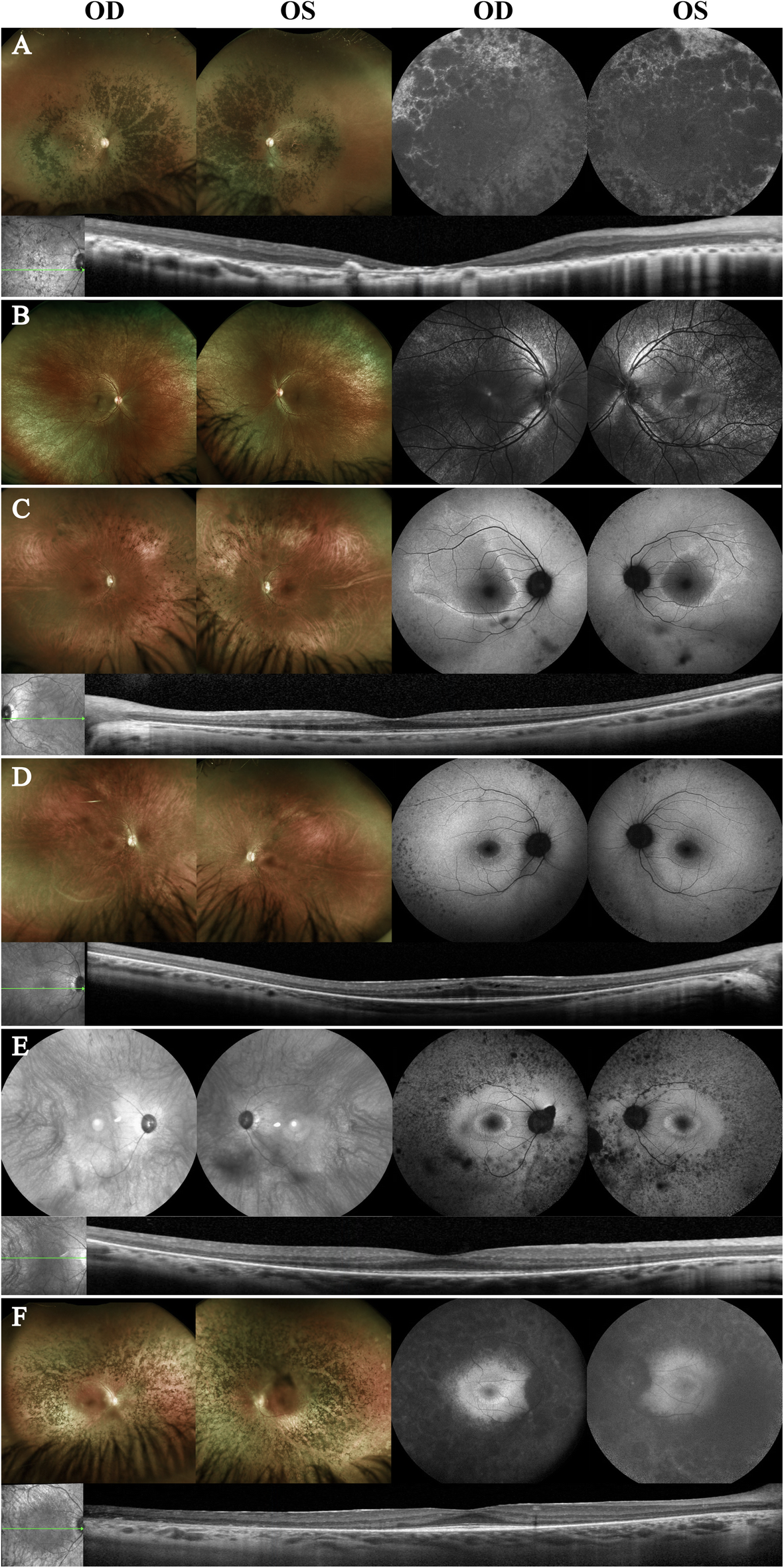 Fig. 1