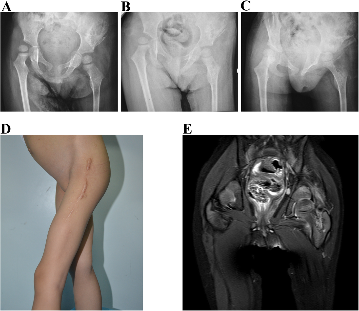 Fig. 4