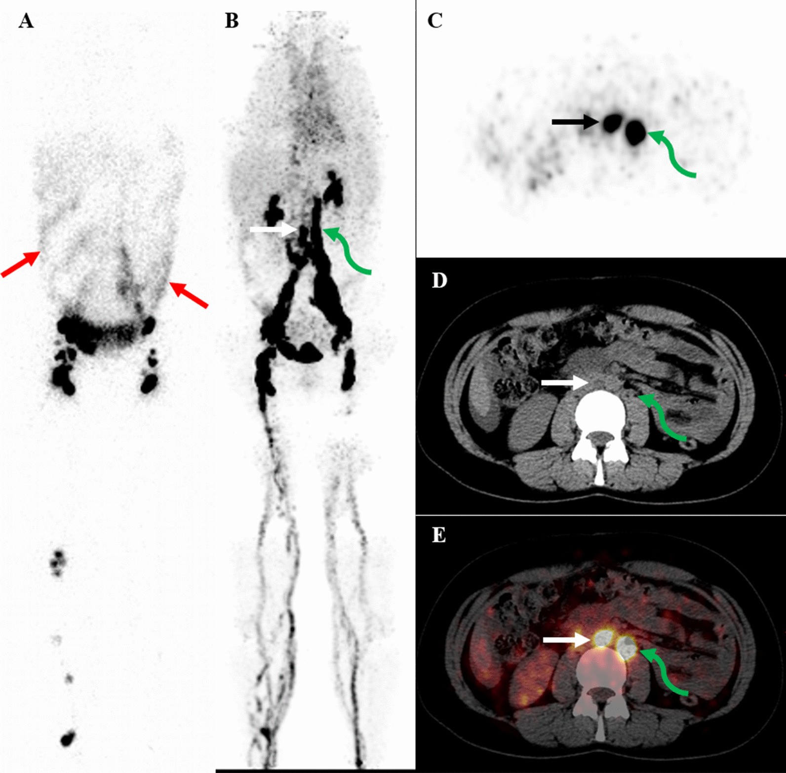 Fig. 4