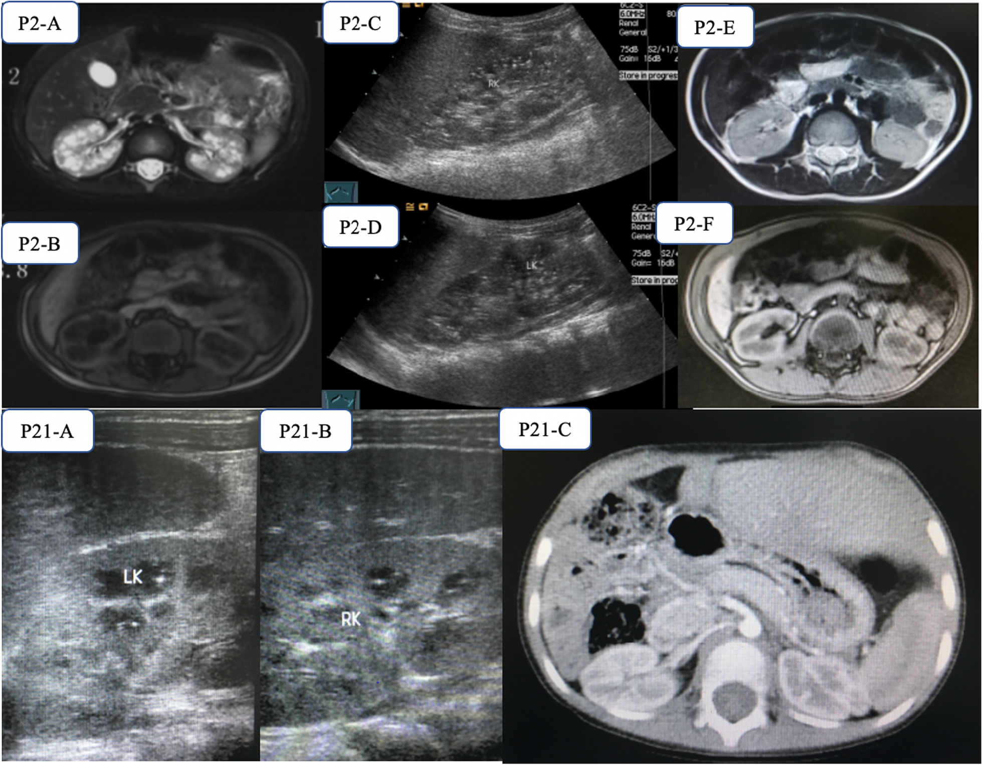 Fig. 2