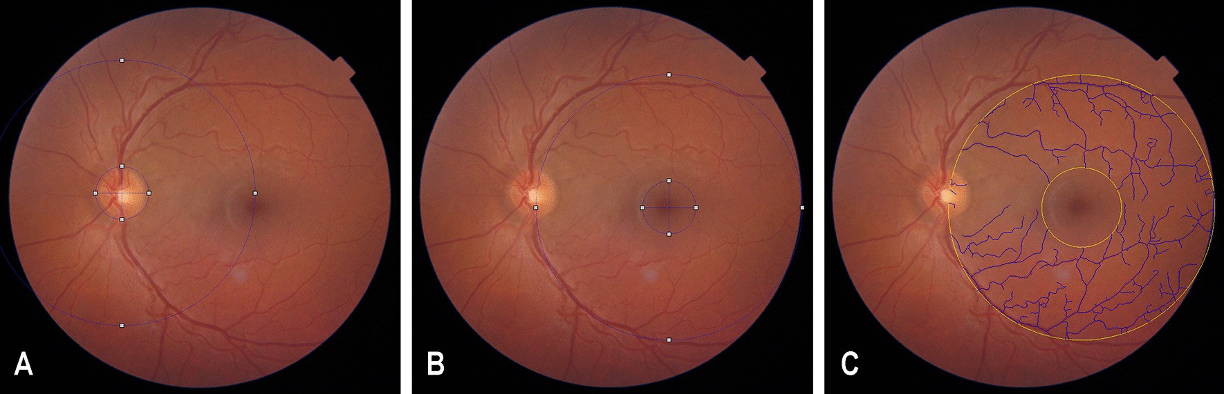 Fig. 1