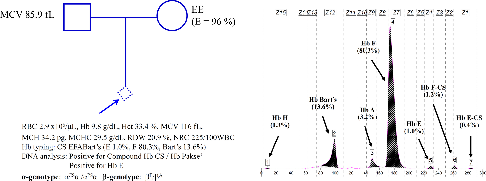 Fig. 2