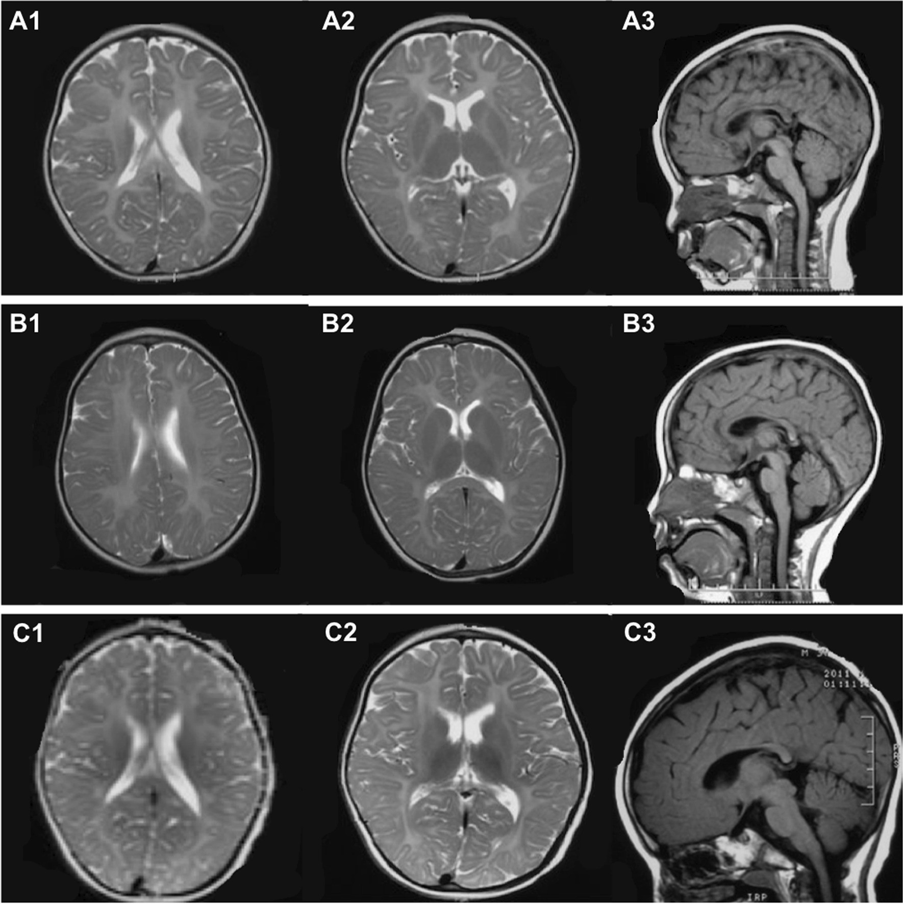 Fig. 3