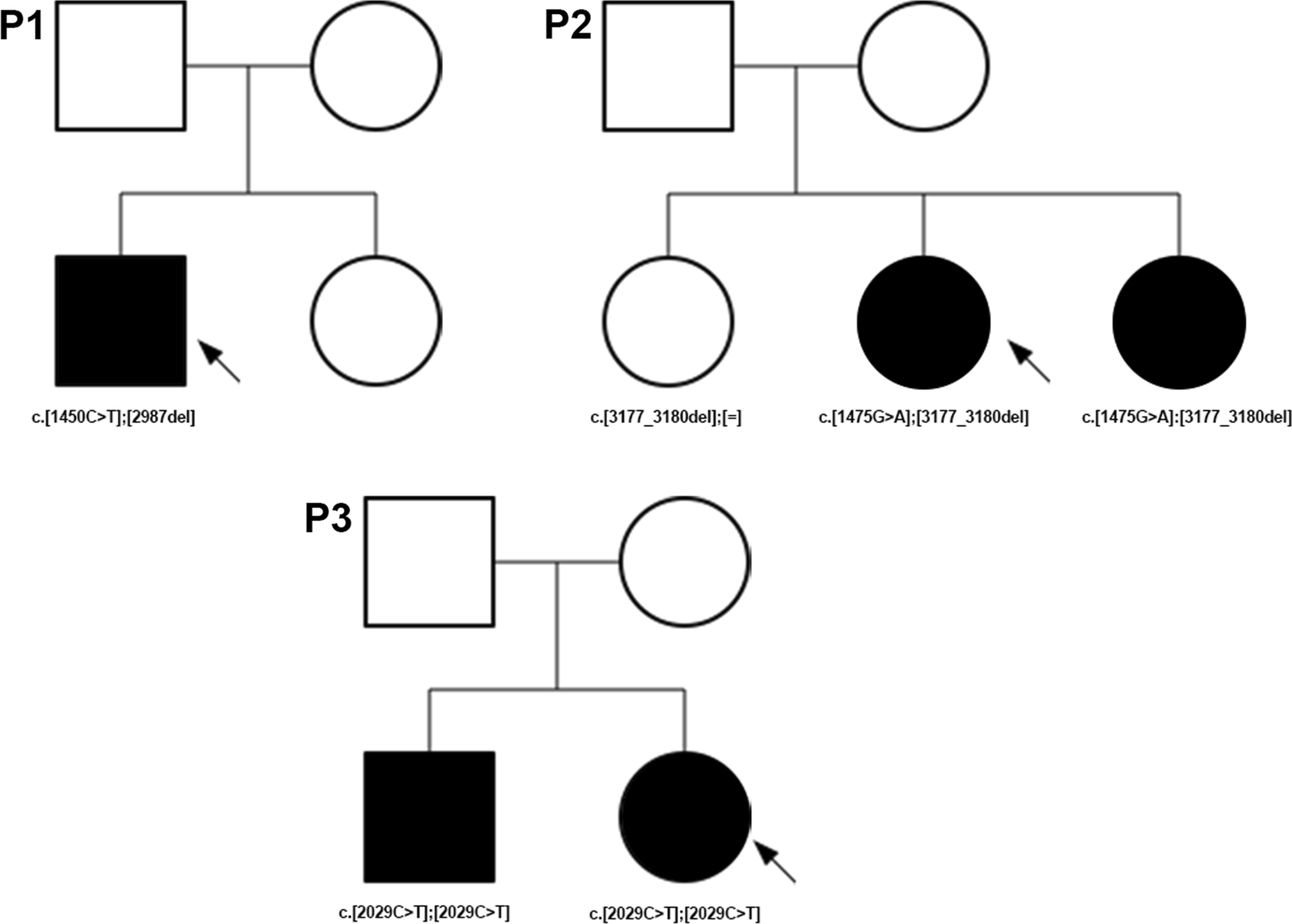 Fig. 6