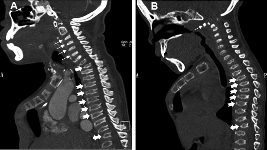 Fig. 1 