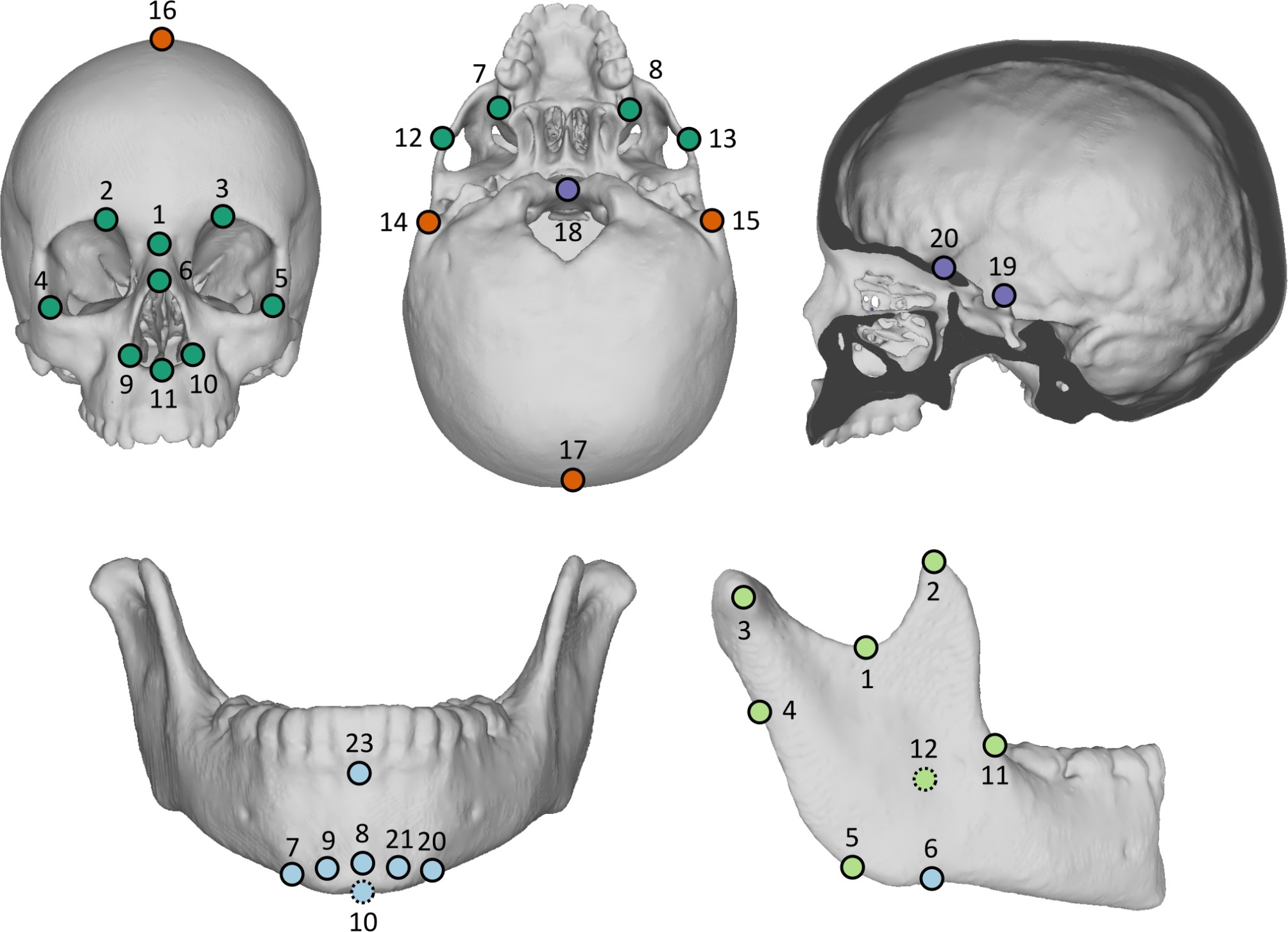 Fig. 2