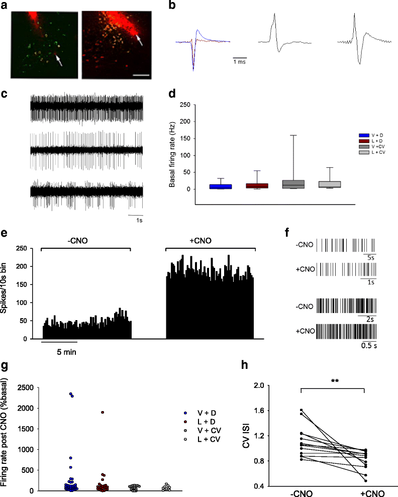 Fig. 6