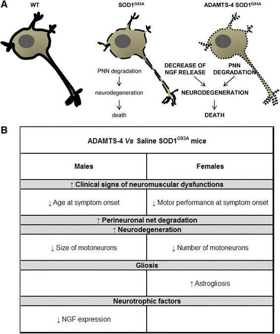 Fig. 12