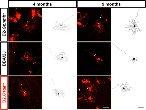 Fig. 3