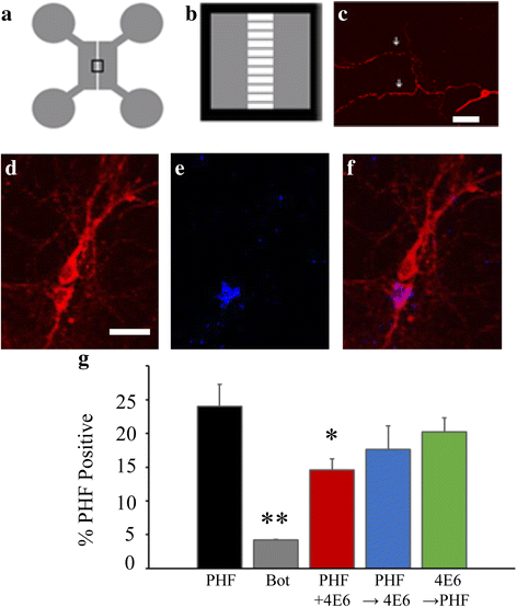 Fig. 13