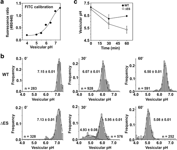 Fig. 9