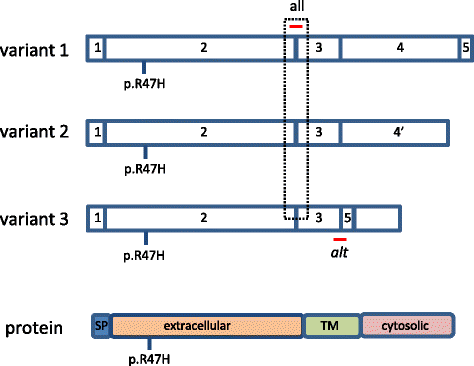 Fig. 1