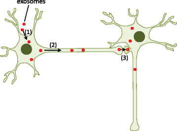 Fig. 9