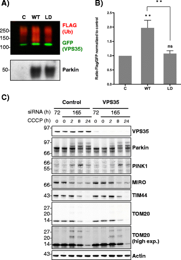 Fig. 8