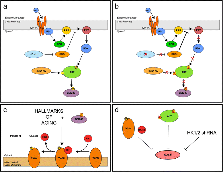 Fig. 9