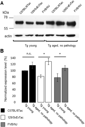 Fig. 11