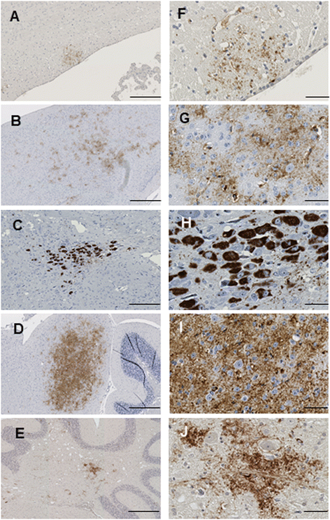 Fig. 9