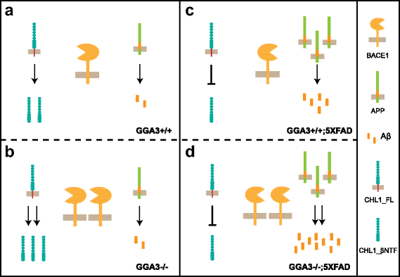 Fig. 11