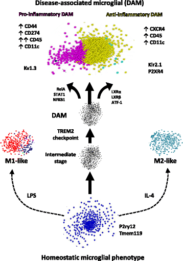 Fig. 10