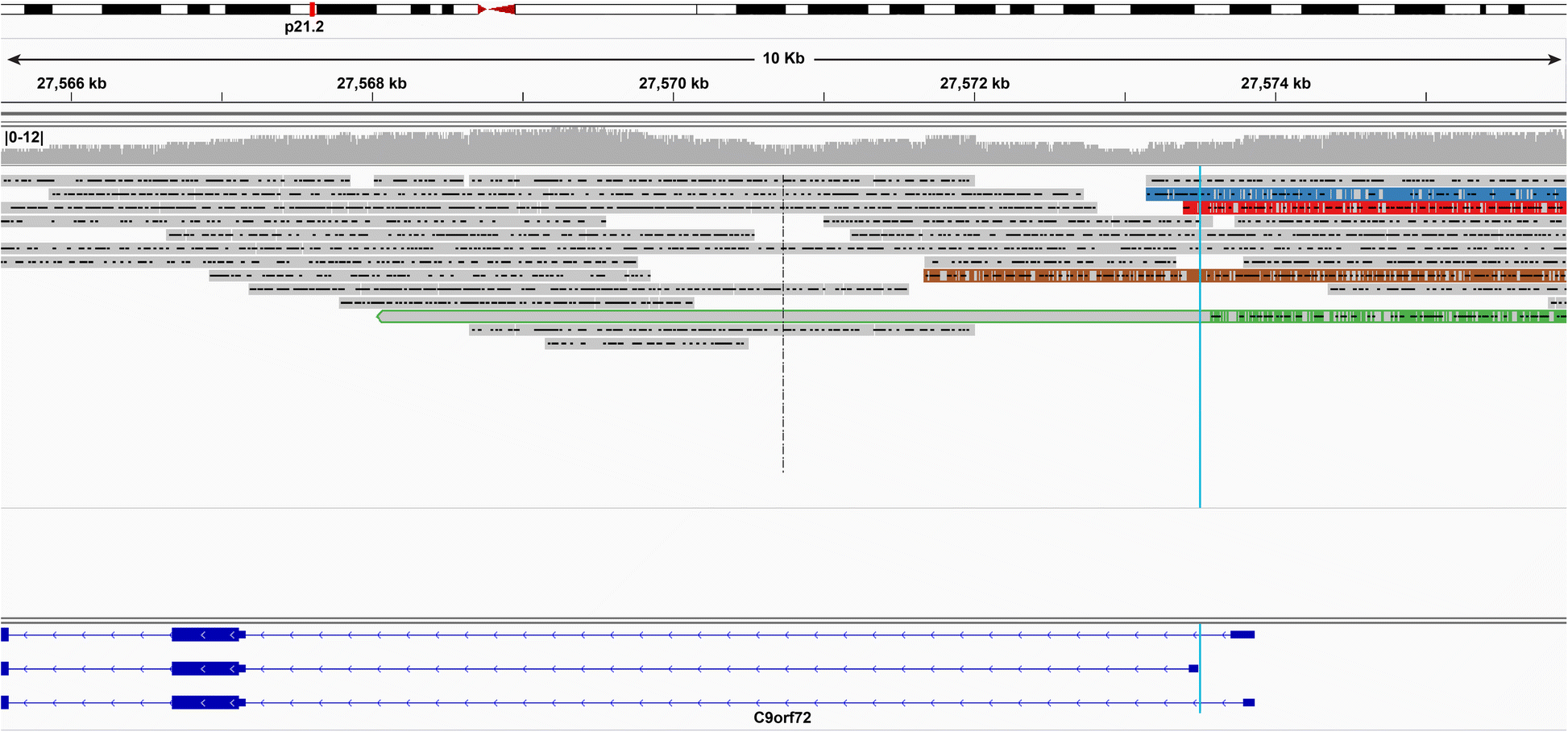 Fig. 7