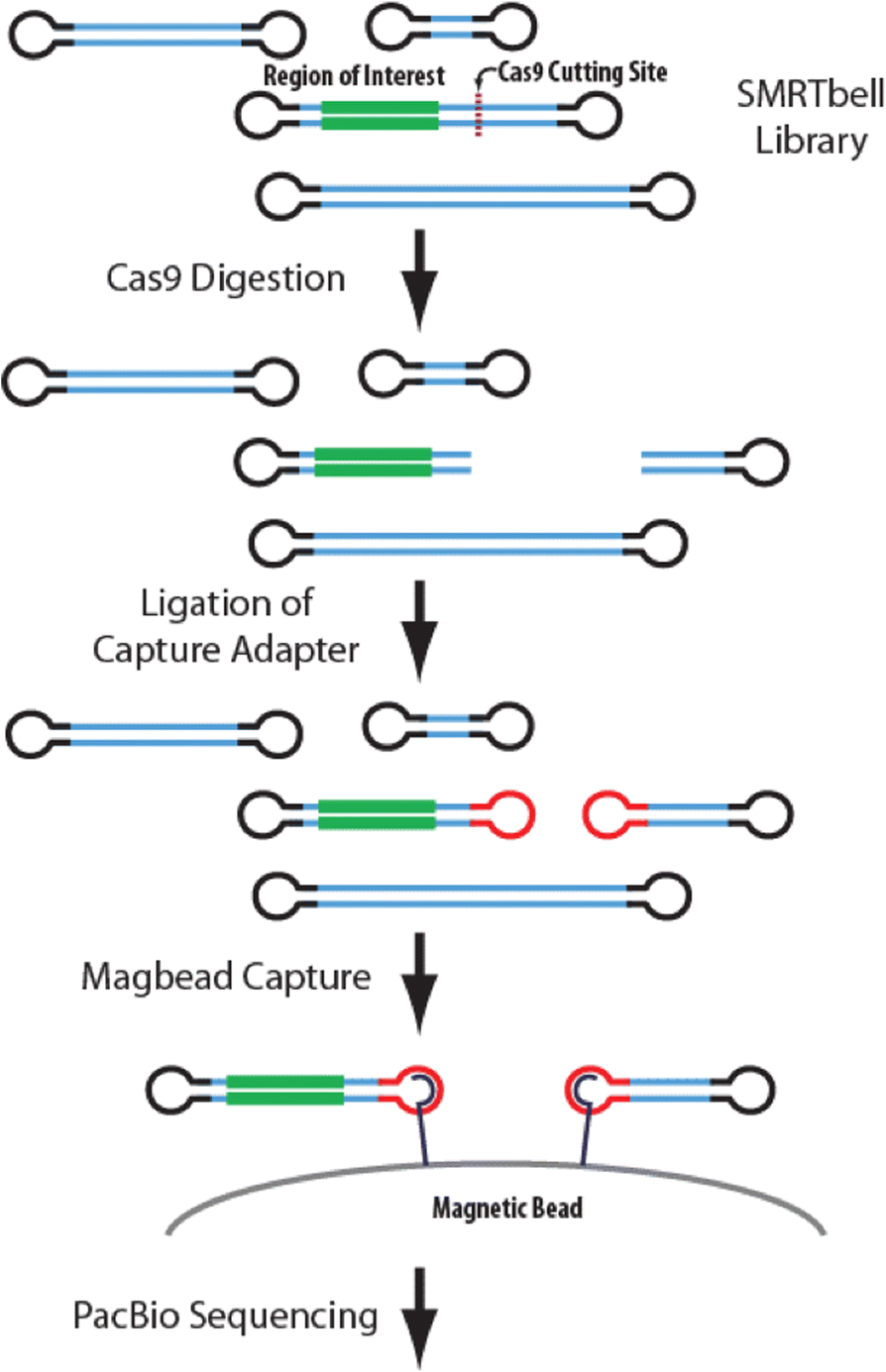 Fig. 9