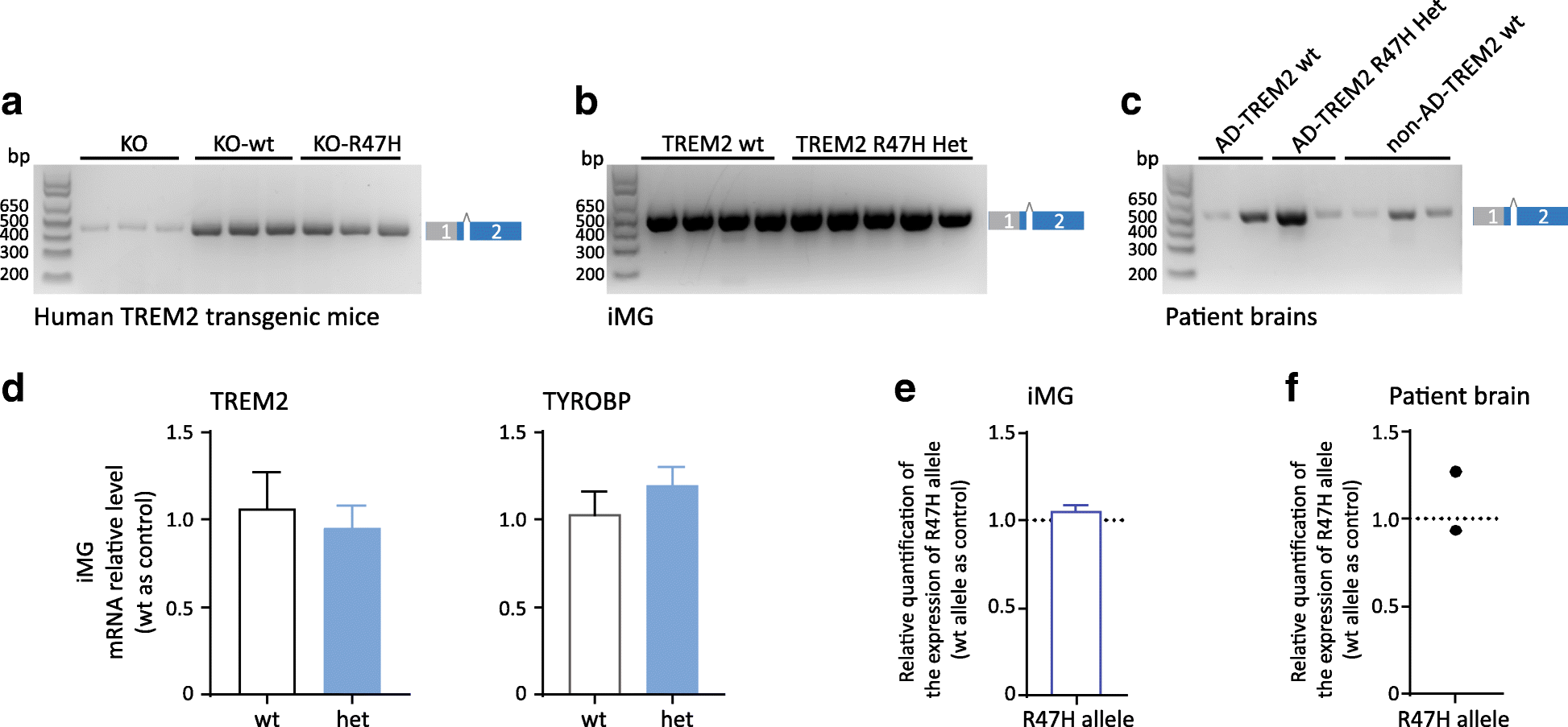 Fig. 5