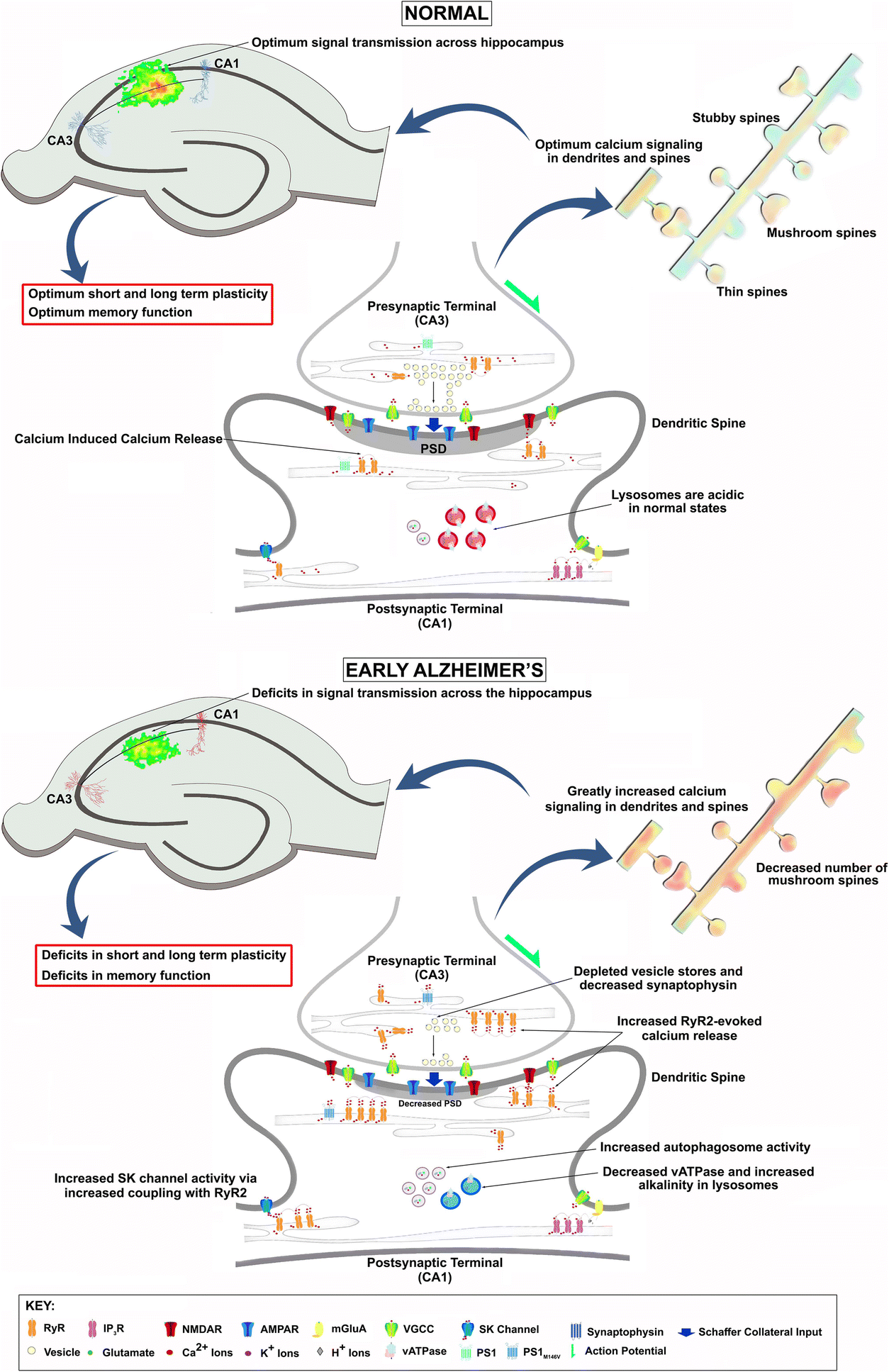 Fig. 7