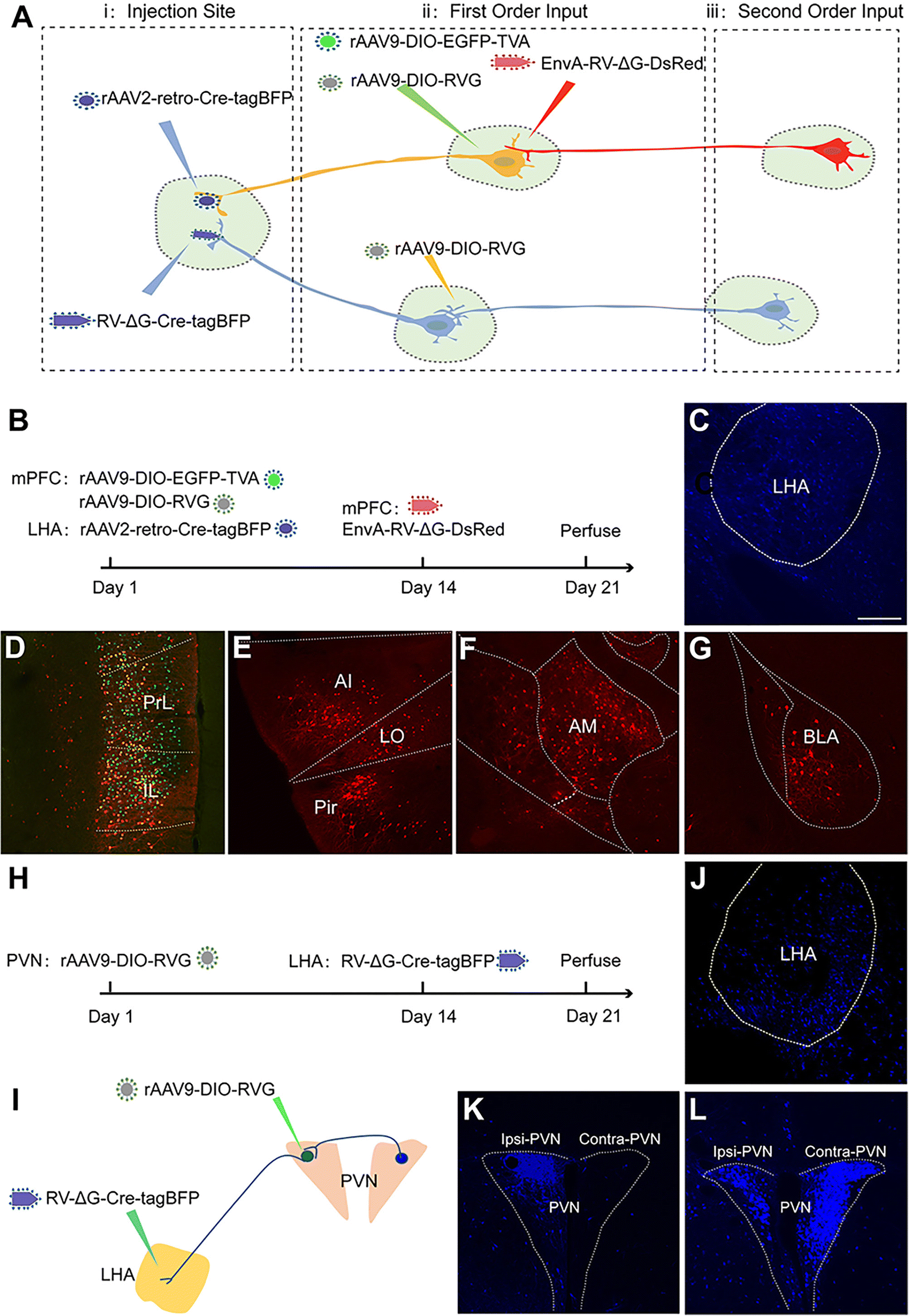 Fig. 9