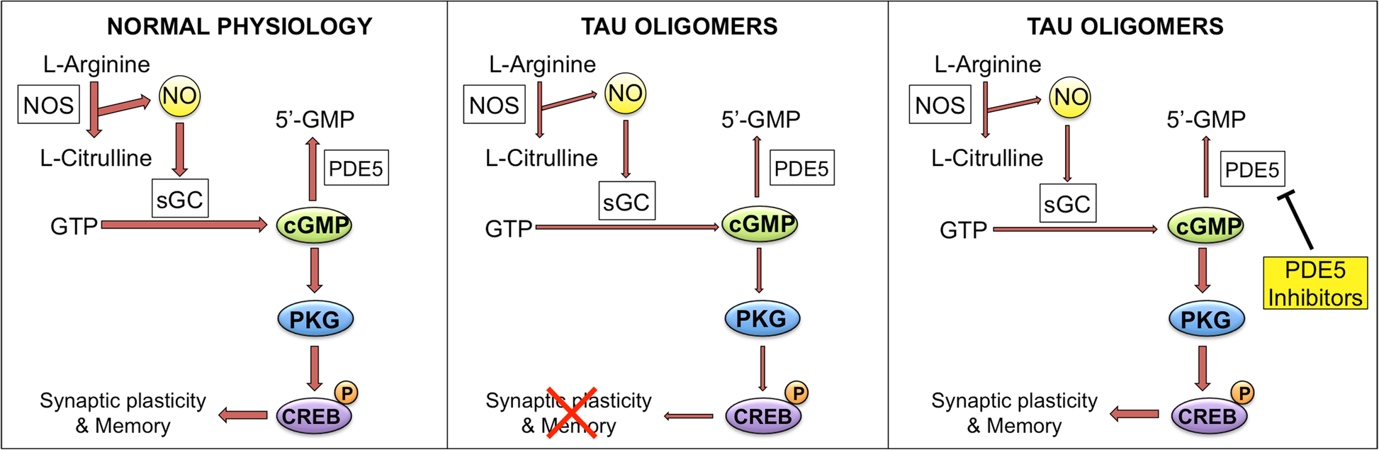 Fig. 9