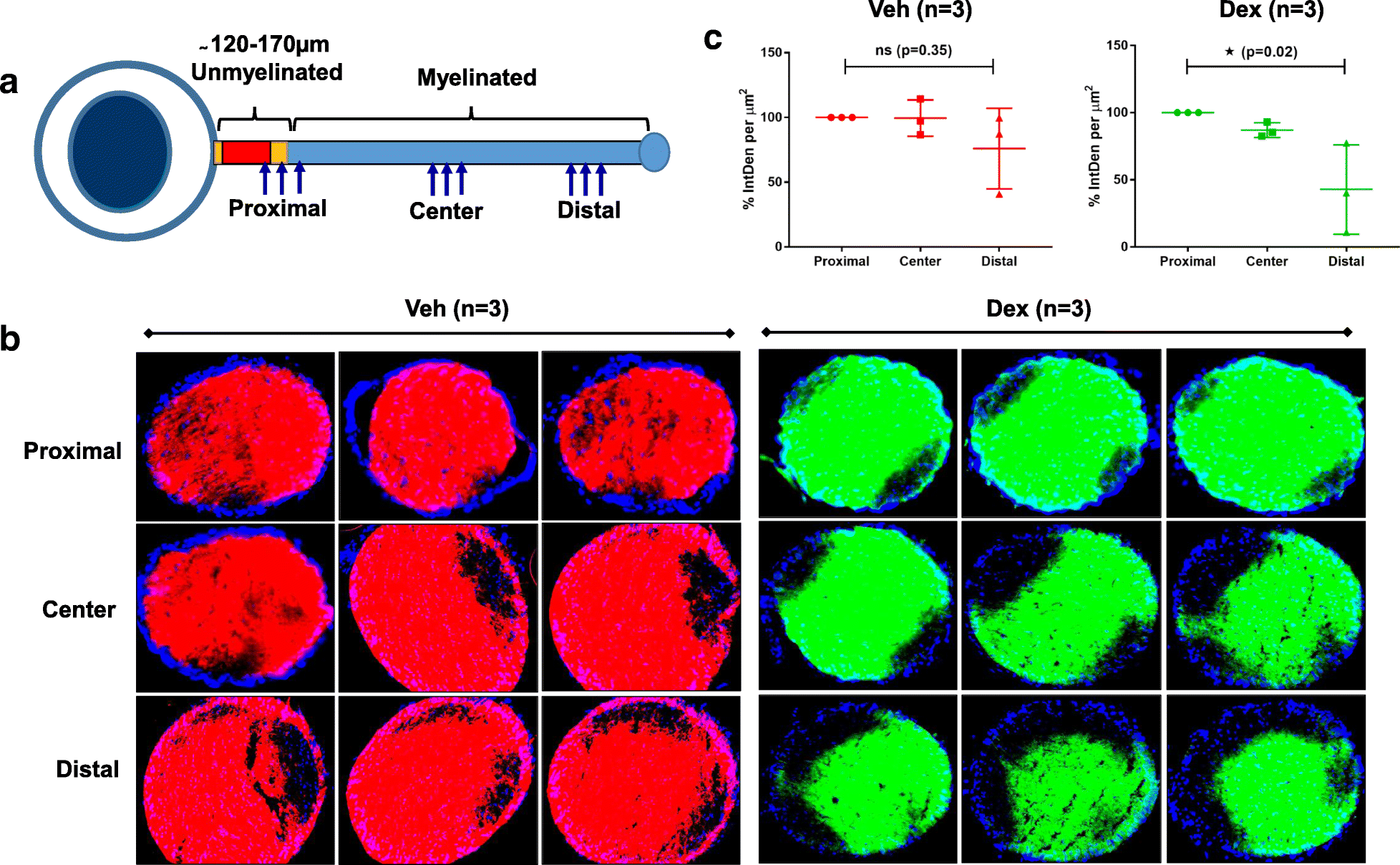 Fig. 11