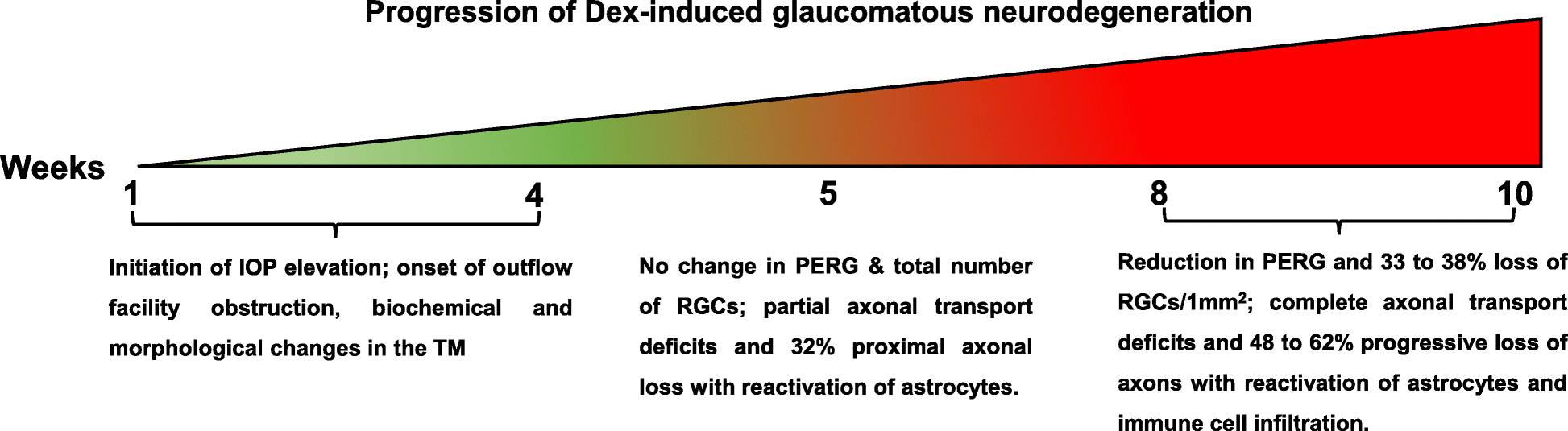 Fig. 12