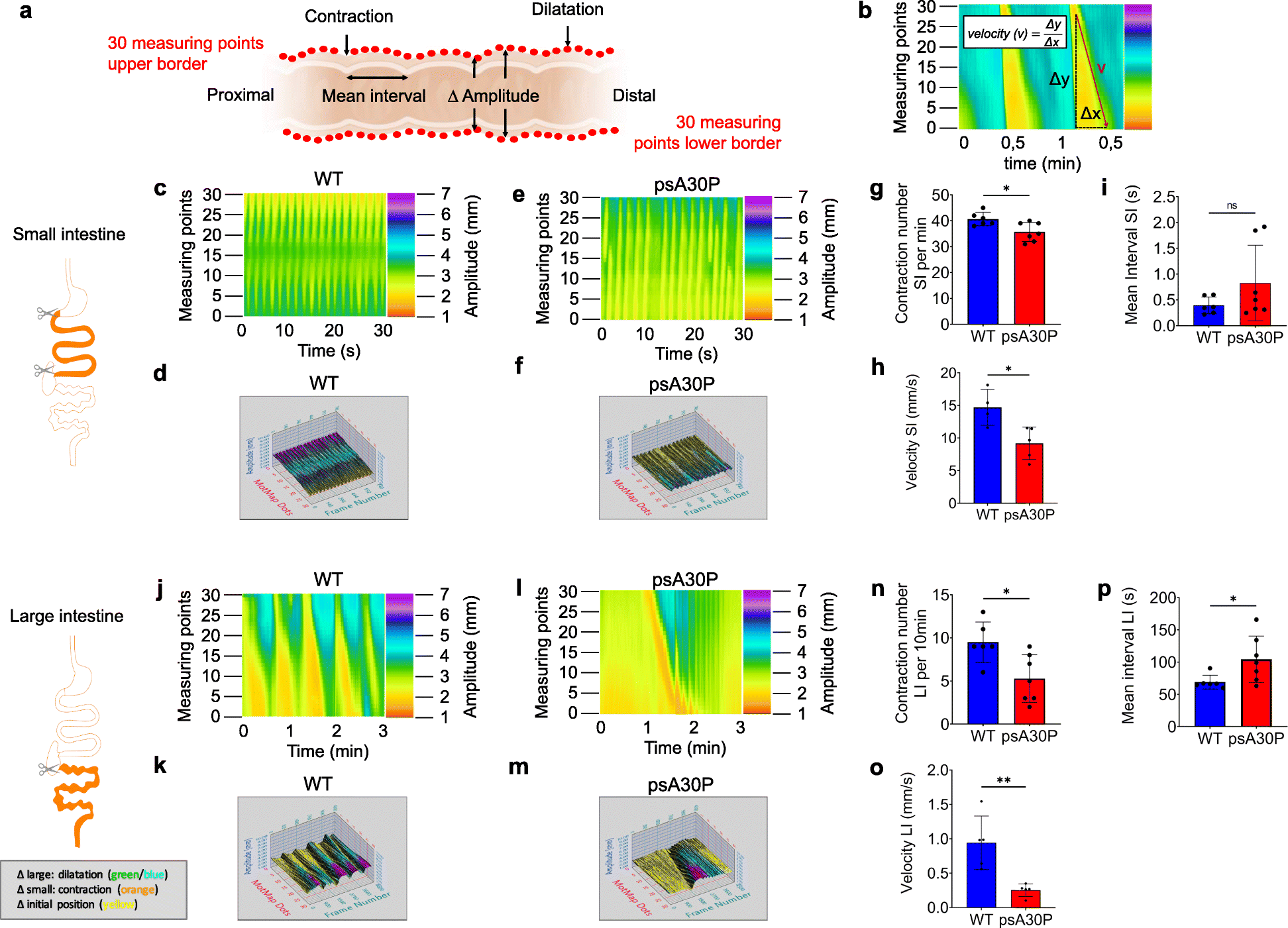 Fig. 3