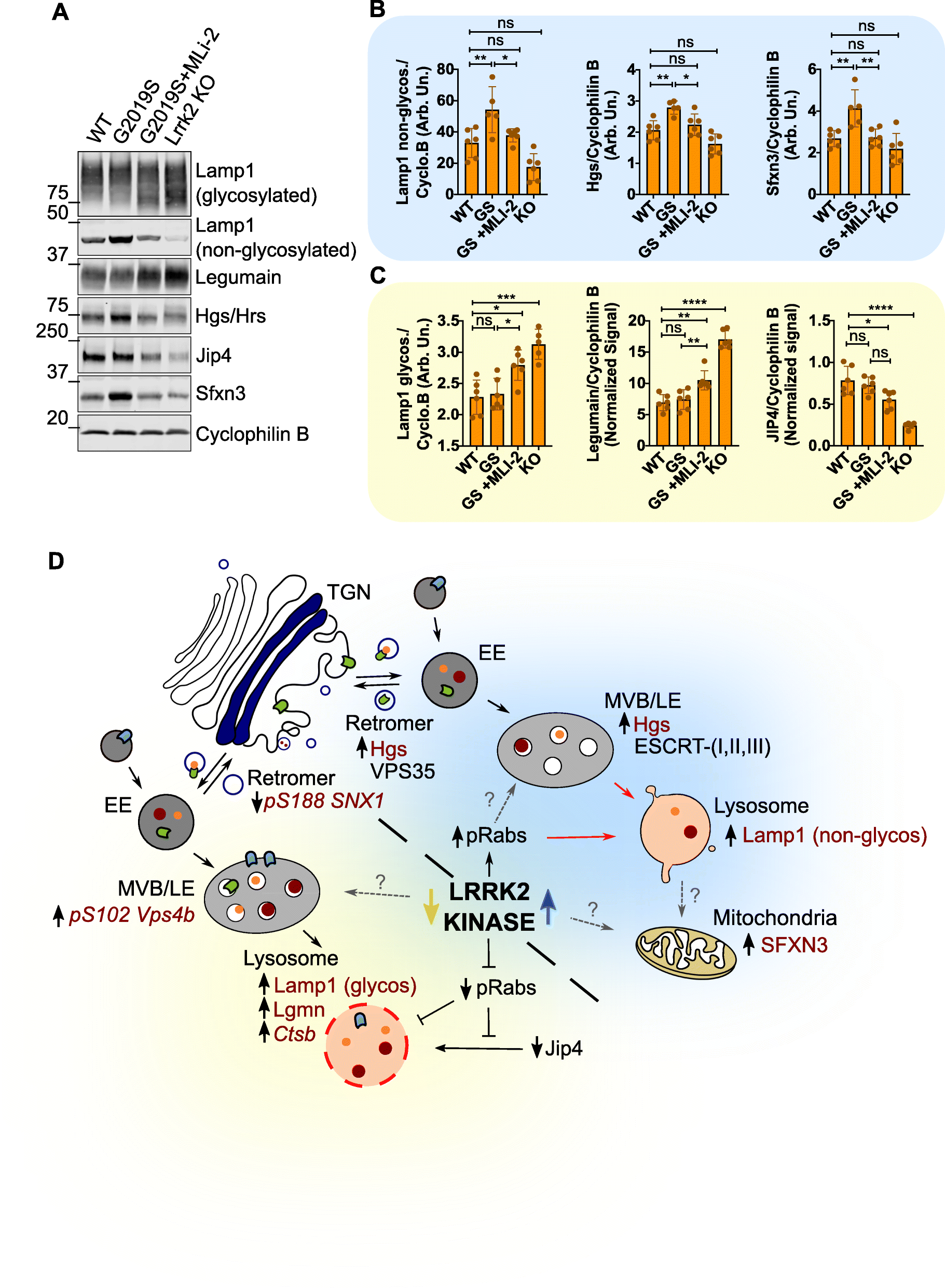 Fig. 8