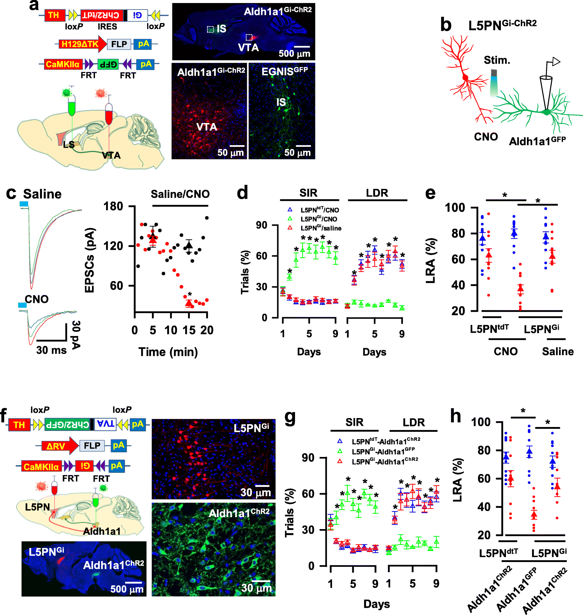 Fig. 6