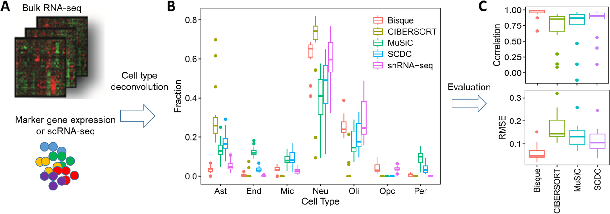 Fig. 10