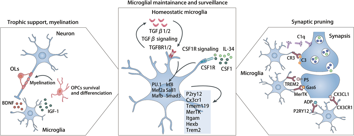 Fig. 1