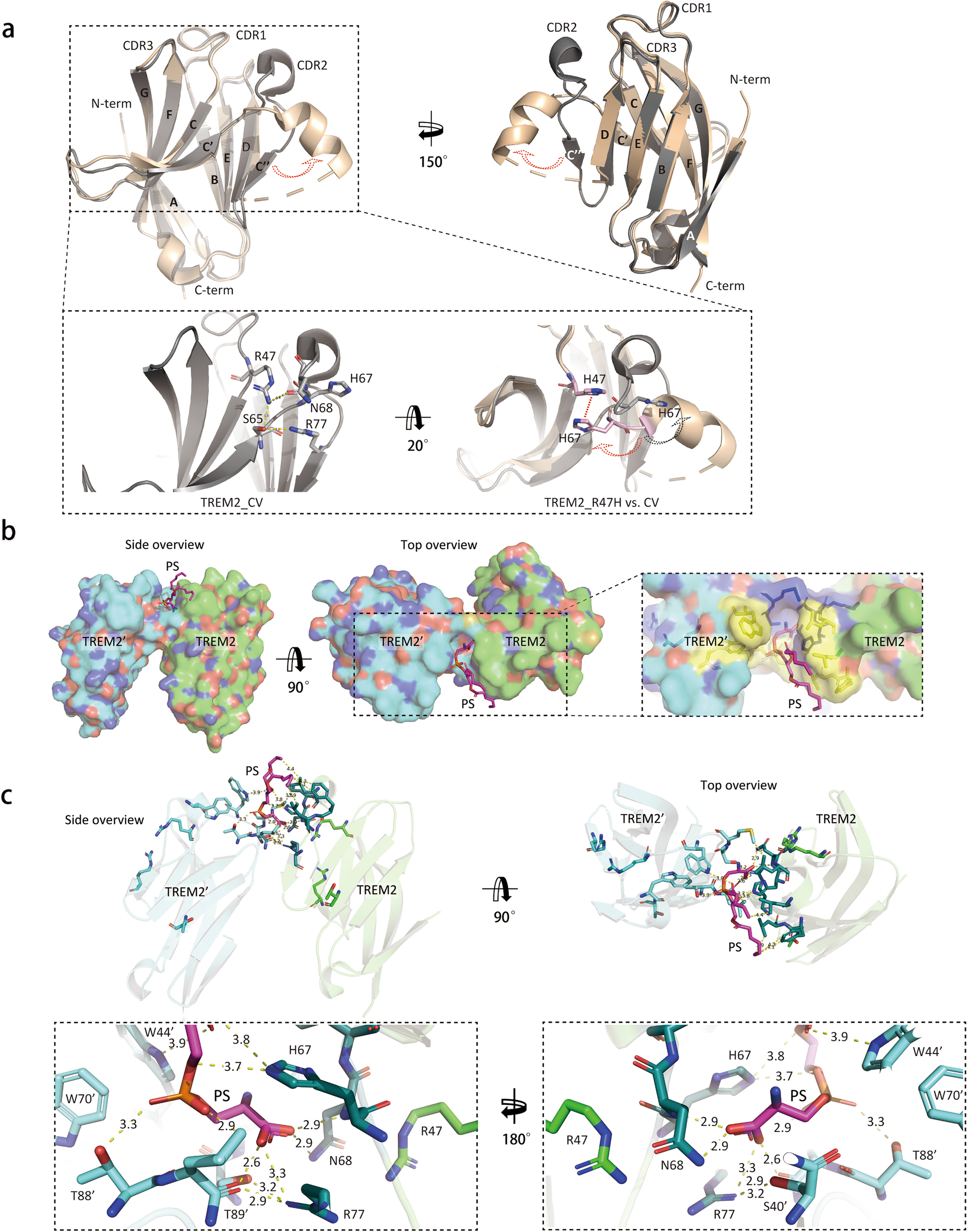 Fig. 3