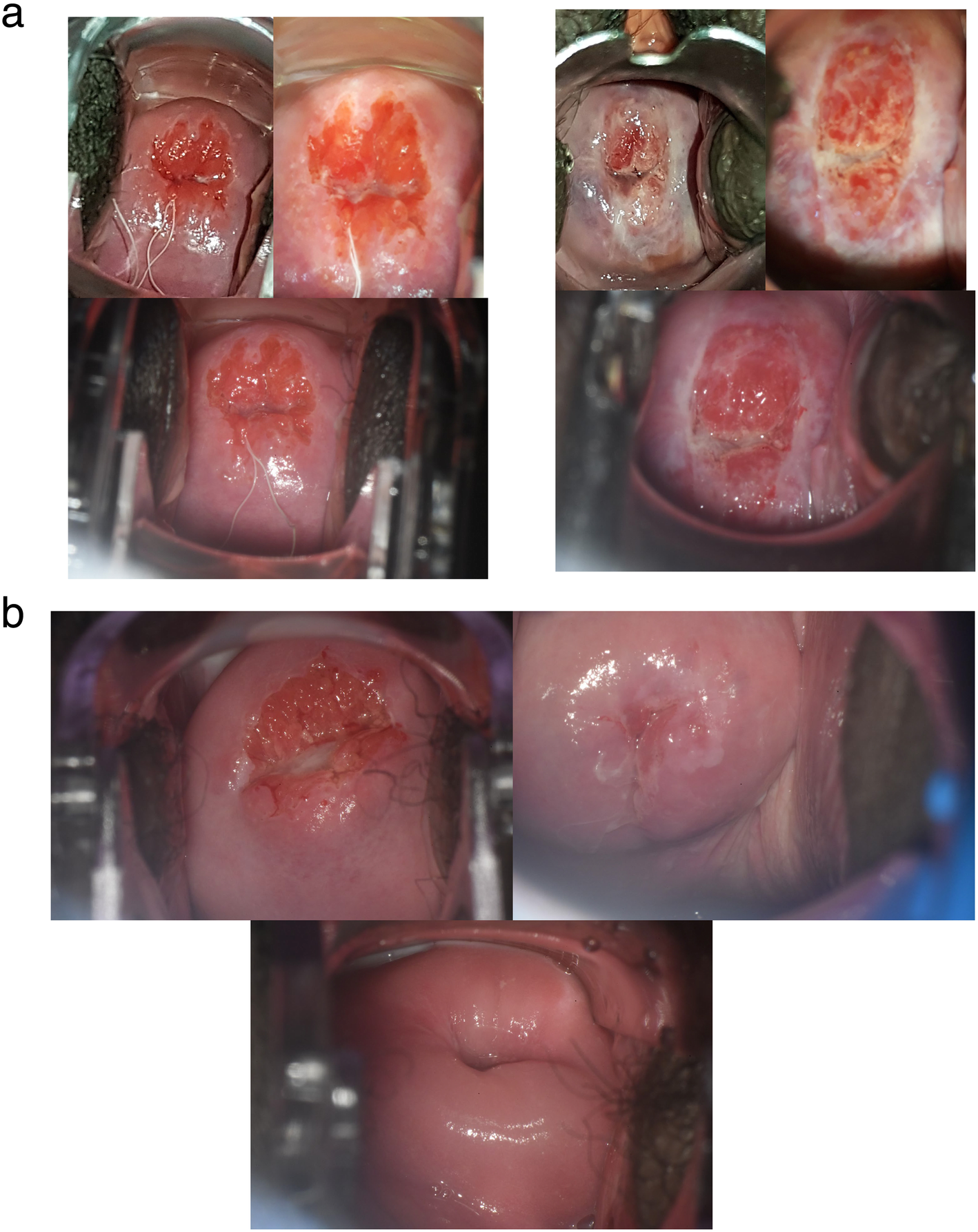 Fig. 3