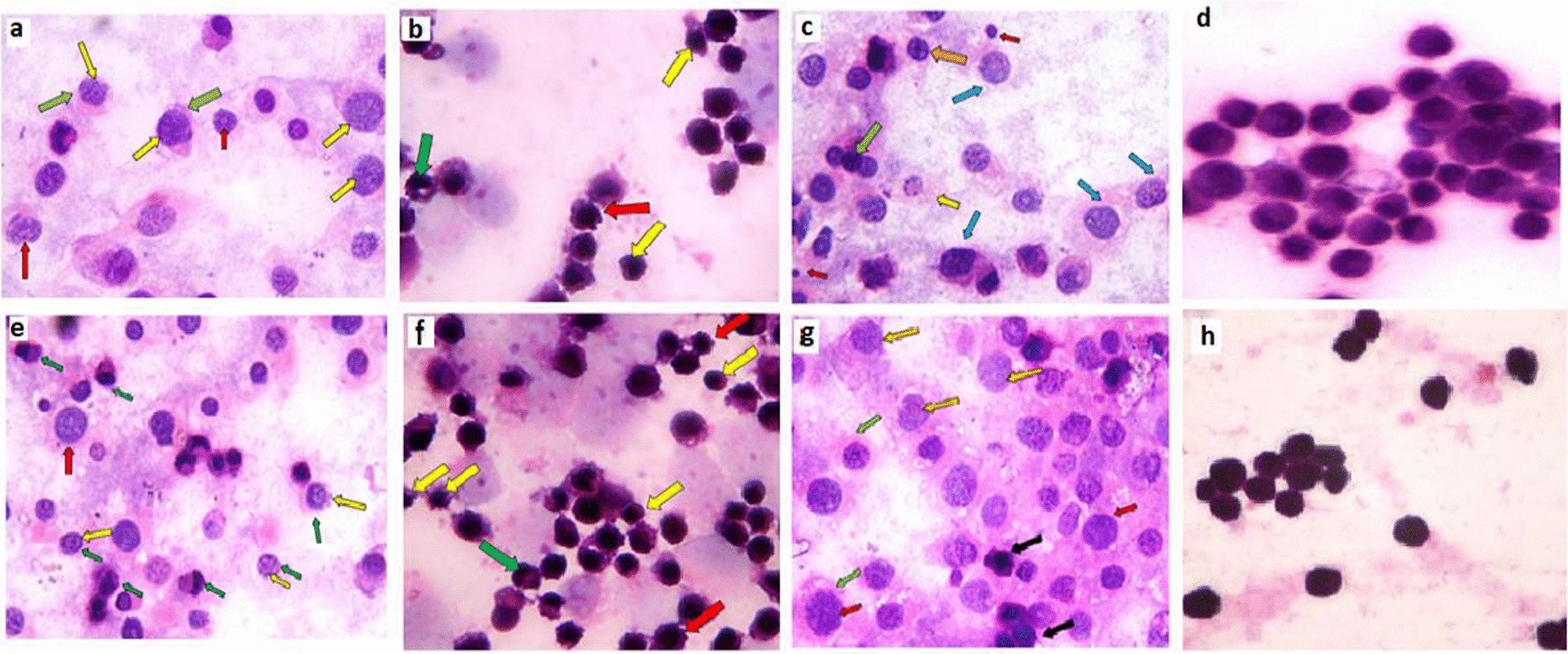 Fig. 4