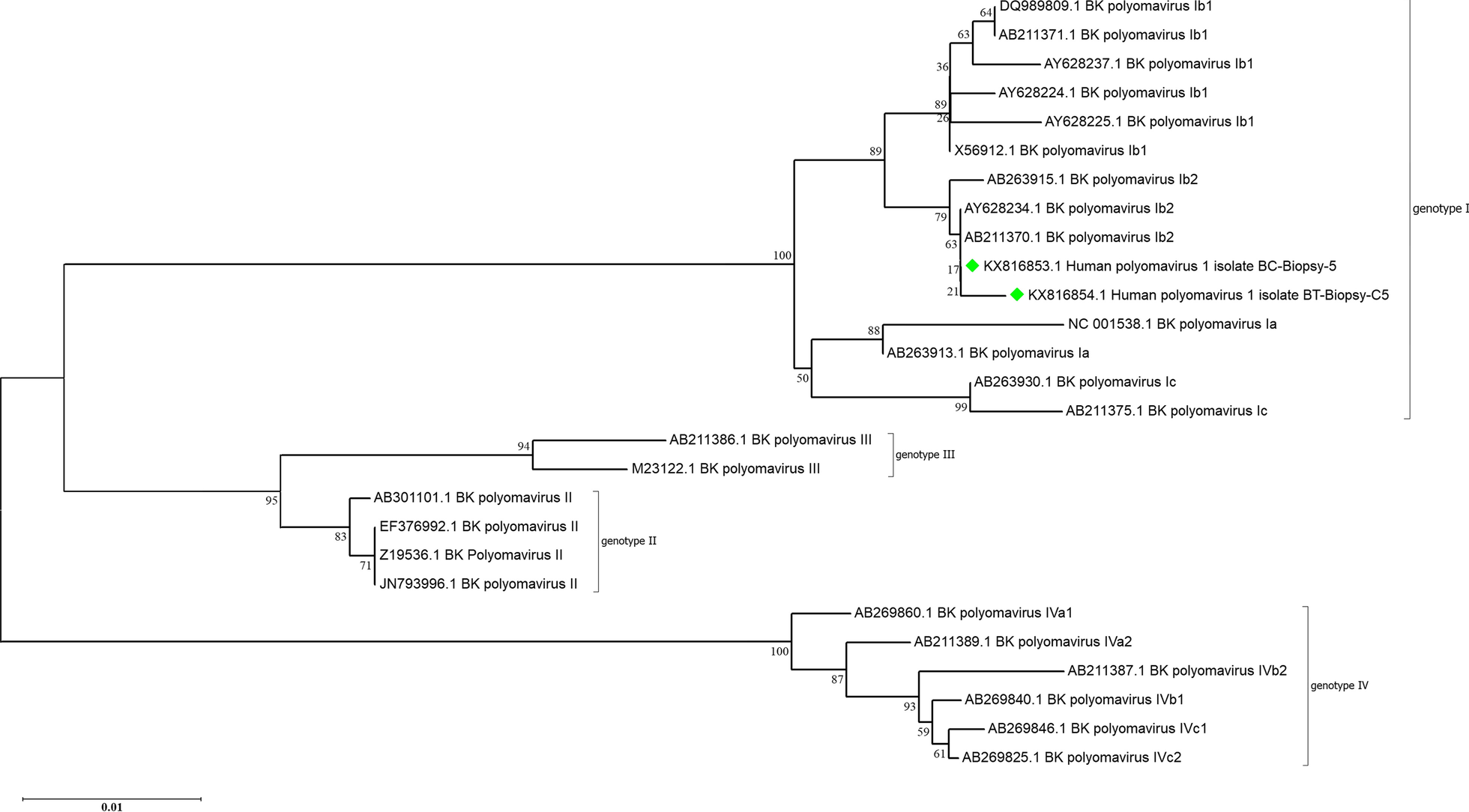 Fig. 6