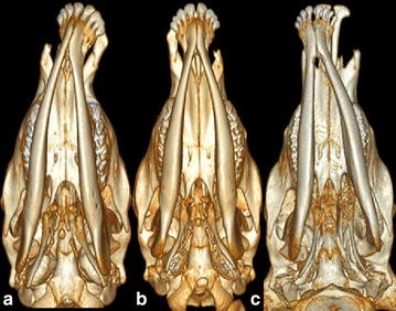 Fig. 4