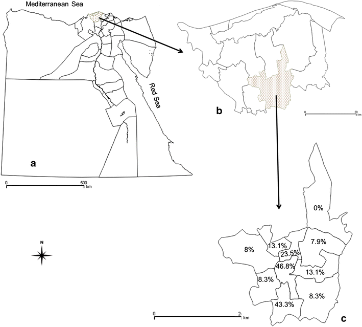 Fig. 1