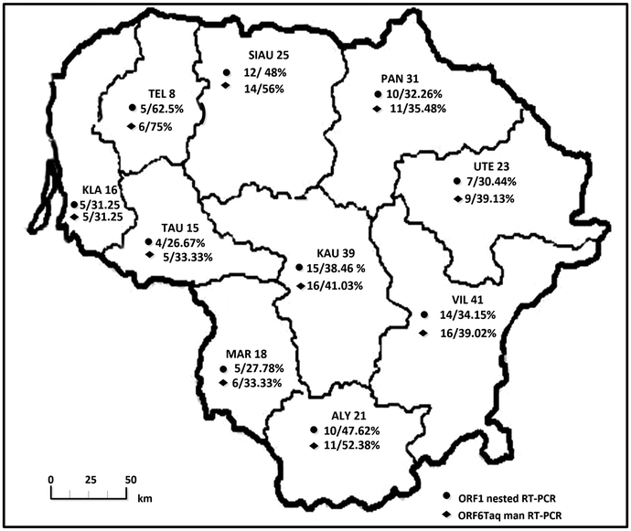 Fig. 1