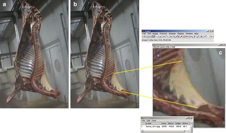 Fig. 2