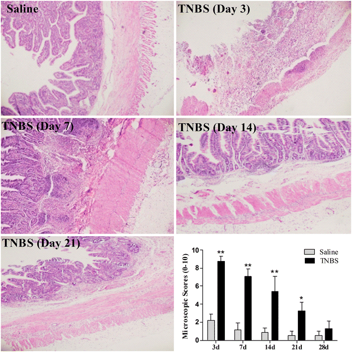 Fig. 3